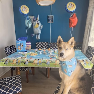 Leny added a photo of their purchase