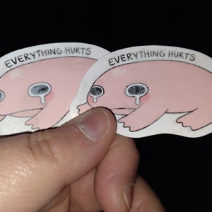 Alexis ha añadido una foto de su compra