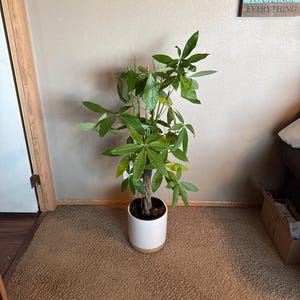 Lori ha añadido una foto de su compra