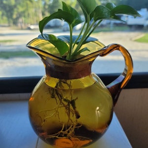 Caryn added a photo of their purchase