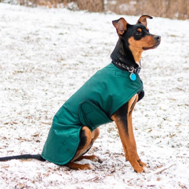 Extreme Winter Dog Coat Tough dog coat custom dog coat Etsy