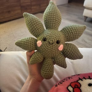 poppy adicionaram uma foto da sua compra