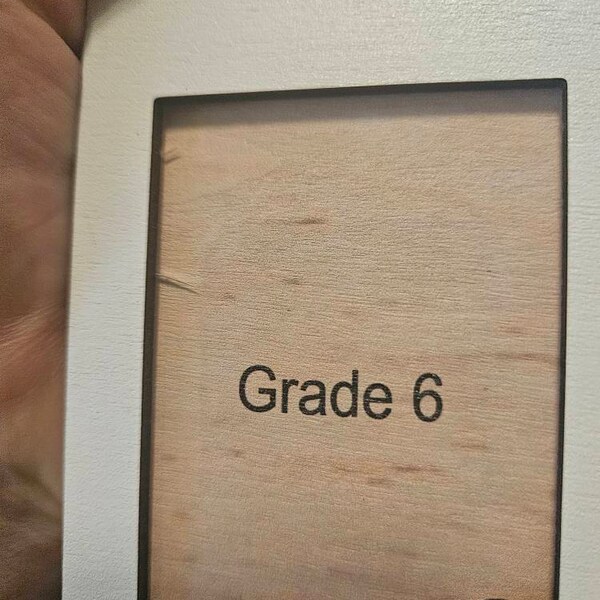 Grade School Picture Frame Custom, Pre K to Graduation School Picture ...