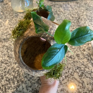 CIndi added a photo of their purchase