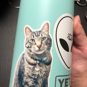 Sierra added a photo of their purchase