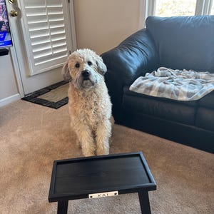 Jordan added a photo of their purchase