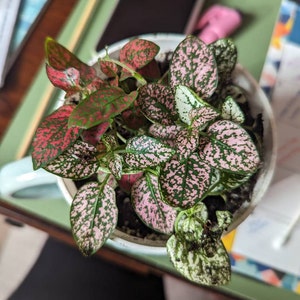 Kristi added a photo of their purchase