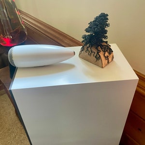 Cary a ajouté une photo de son achat