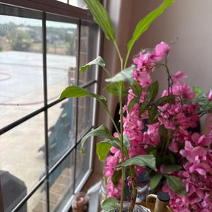 Armand added a photo of their purchase