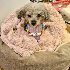 Carah added a photo of their purchase