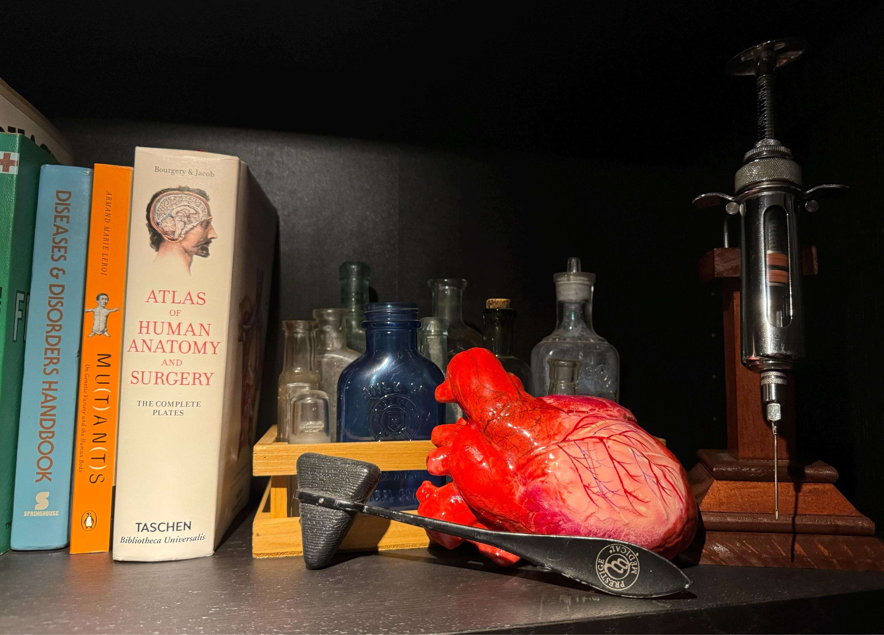 Life Size Human Heart,Handmade Heart,Realistic Heartc,Bloody Heart
