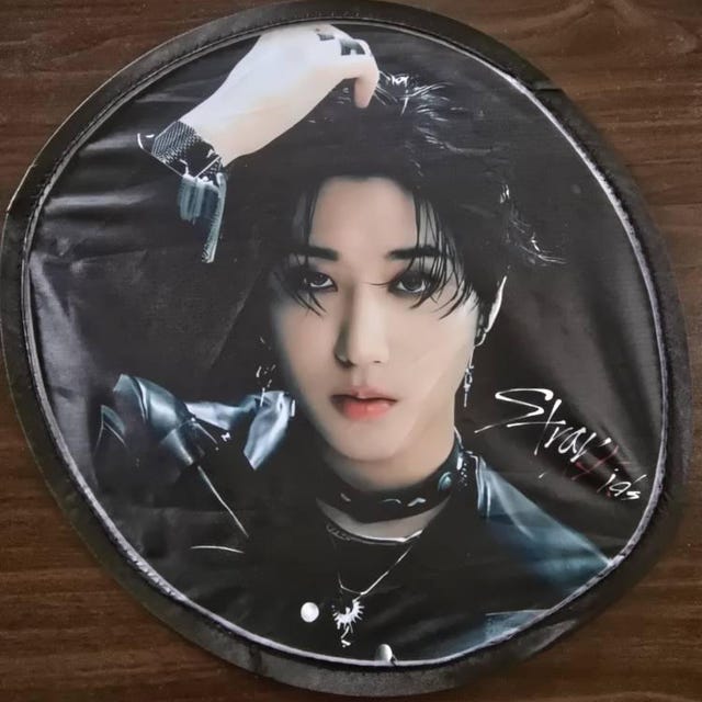 Stray Kids Bias Foldable Hand Fan | Stay | Skz Gift | Kpop