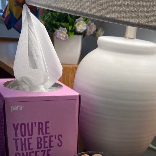 Essential Oil Diffuser Stones | Ceramic Diffusers Make Cute Desk ...