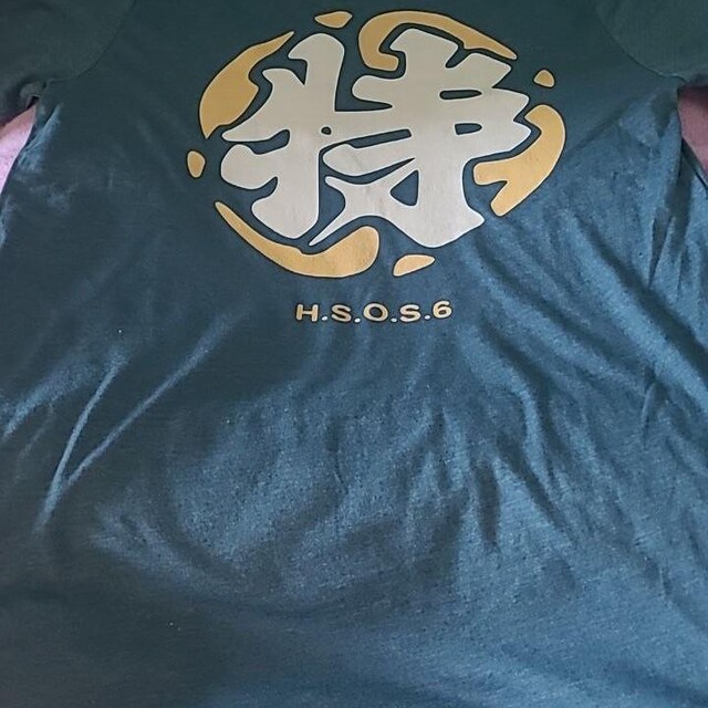 Tシャツ・カットソー THE ANDAMANE 'New iana' shirt HAVEN EMBROIDERED LOGO OVERSIZED T-SHIRT | HAVEN 刺繍 ロゴ