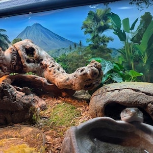 Nathan heeft een foto van zijn/haar aankoop toegevoegd