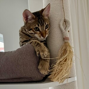 Julia added a photo of their purchase