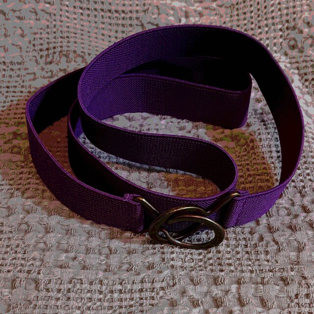 ベルト ETRO Woman Belt Violet WP3D0003AP235 R0108 Etro Outlet: Belt woman - Violet | Etro belt WP3D0003AP235