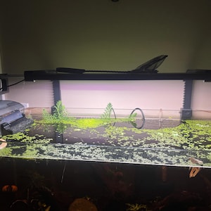 Jesse added a photo of their purchase