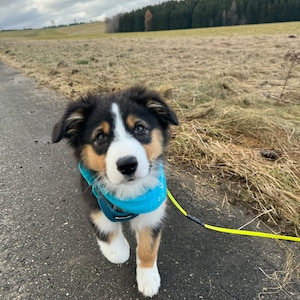 Sandra added a photo of their purchase