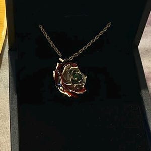 Nivine adicionaram uma foto da sua compra
