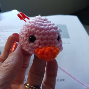 Tammy added a photo of their purchase