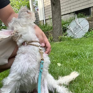 Amanda added a photo of their purchase