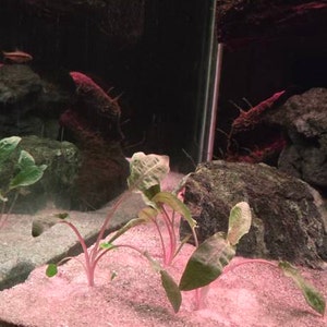 Randy added a photo of their purchase
