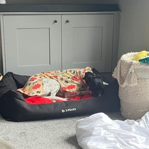 Ashleigh added a photo of their purchase