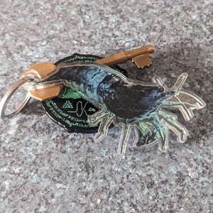 Lydia added a photo of their purchase