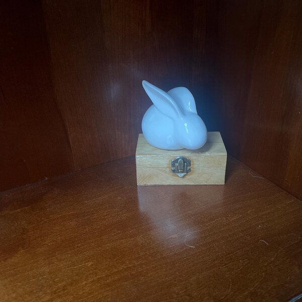Rabbit Urn Bunny Ashes Casket - Etsy