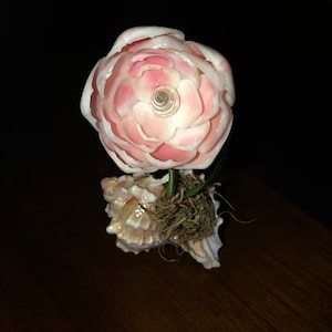 Jana added a photo of their purchase