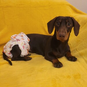 dachshund season pants