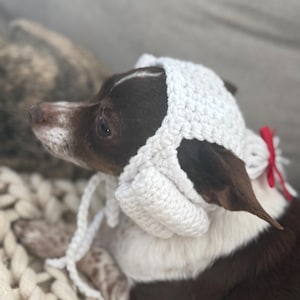 Powdered wig, hats for cats, barristers wig, judge wig, pet costumes, cat costumes, knit hat, hats for cats, cat hats, pet has, cats