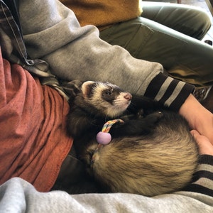 packpossum dodał(a) zdjęcie swoich zakupów