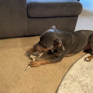 Preston added a photo of their purchase