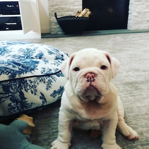 barbee821 added a photo of their purchase