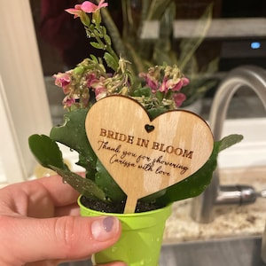 Hollie added a photo of their purchase