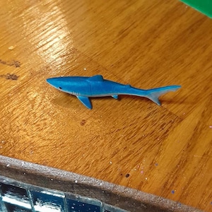 Diane added a photo of their purchase