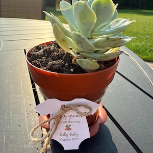 Etsy-Käufer:in hat ein Foto des gekauften Artikels hinzugefügt