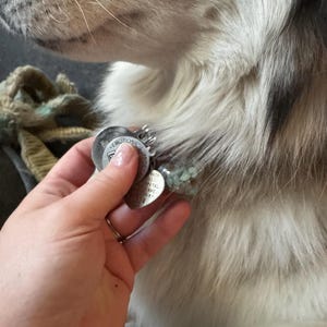 Ruth added a photo of their purchase