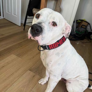 Lee ha añadido una foto de su compra