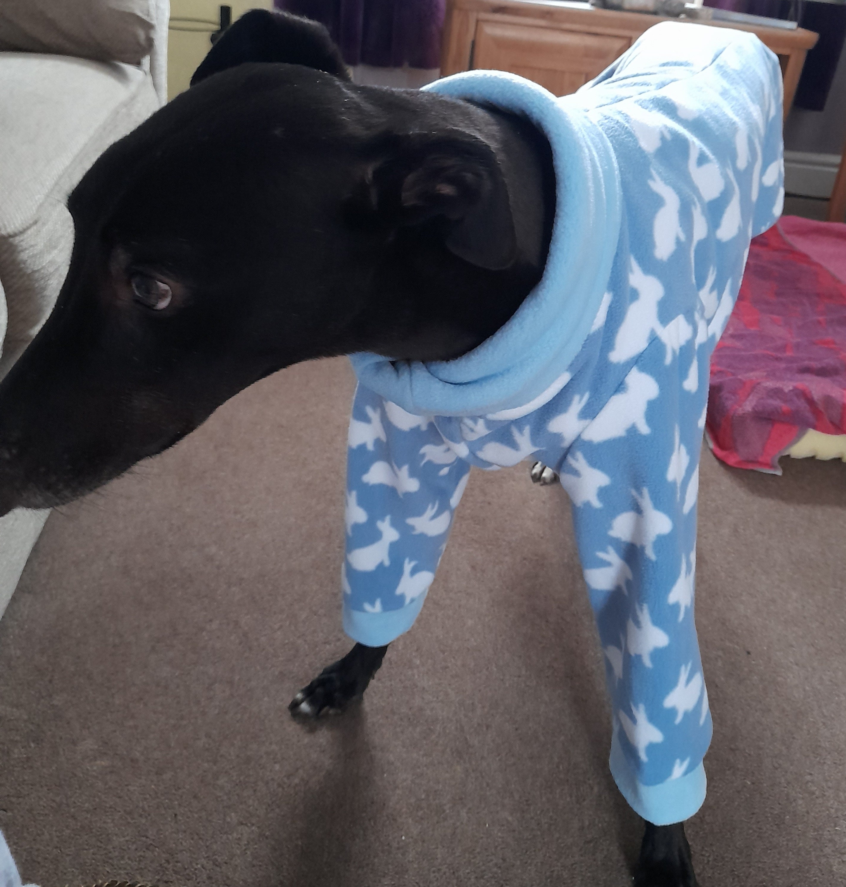 greyhound pyjamas for humans
