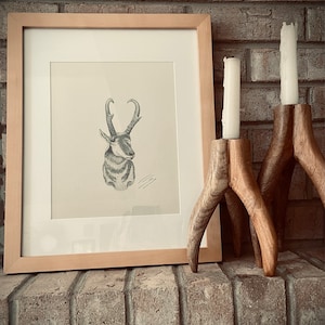 Kelli さんが購入した商品の写真を追加しました