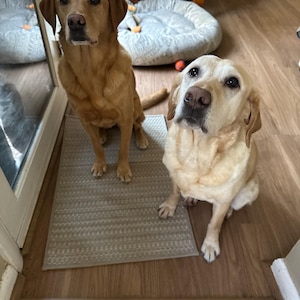 Anna hat ein Foto des gekauften Artikels hinzugefügt