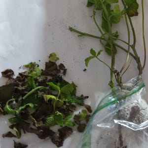 Lorraine added a photo of their purchase