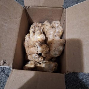 Daniel added a photo of their purchase