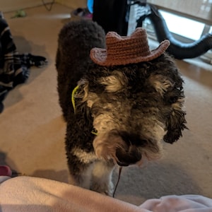 Lynn added a photo of their purchase