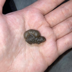 Comprador de Etsy ha añadido una foto de su compra