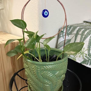 Jen added a photo of their purchase