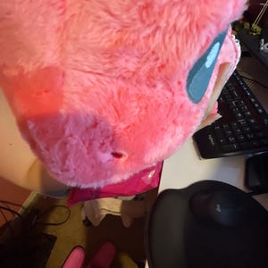 Wednesday added a photo of their purchase